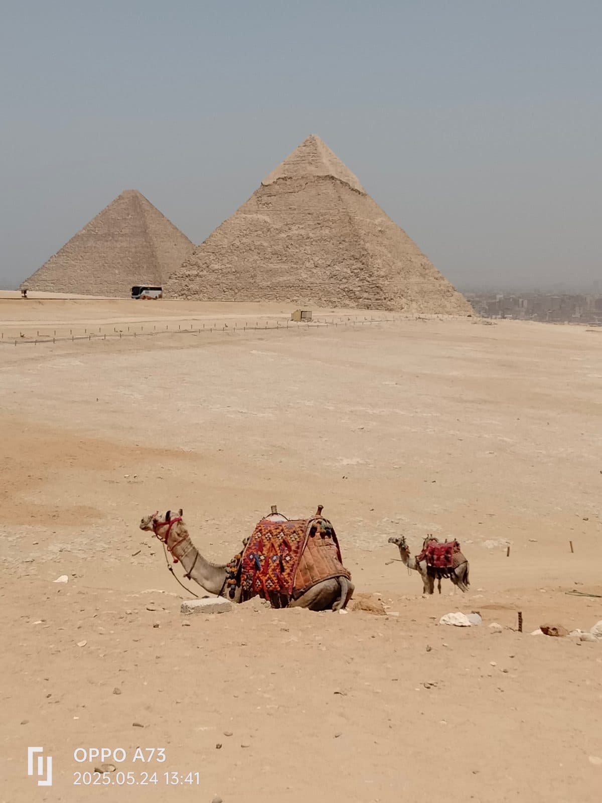 Egypt tours fount