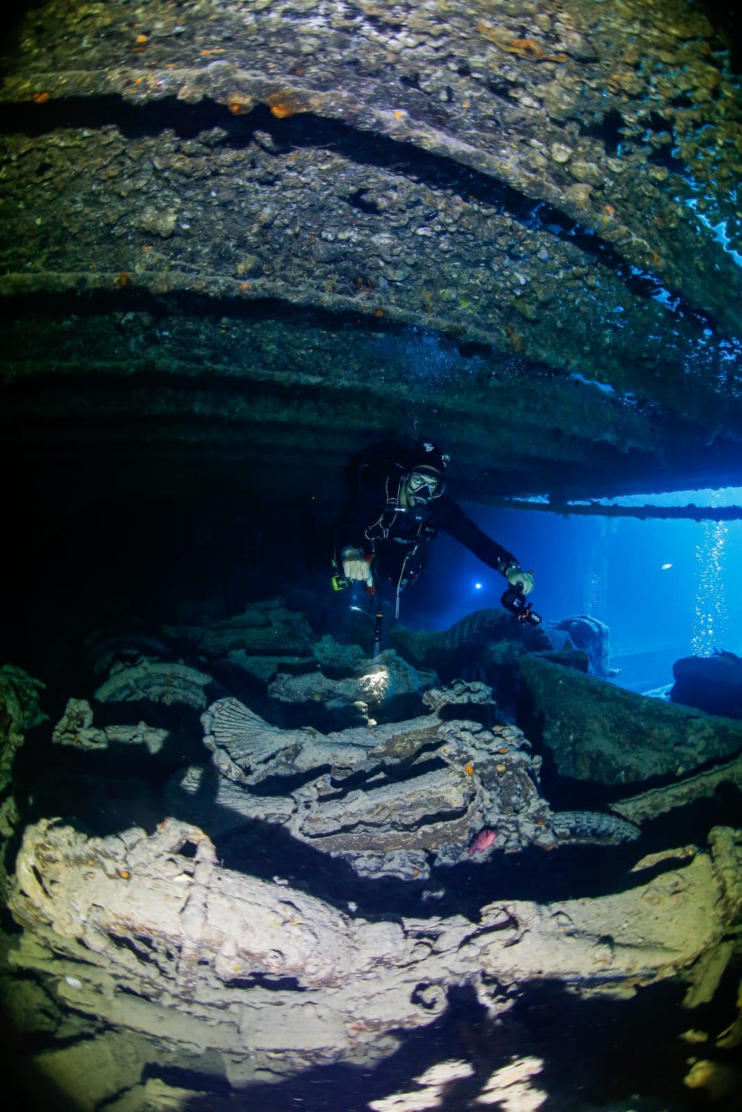 DIVE WITH MOHAMED